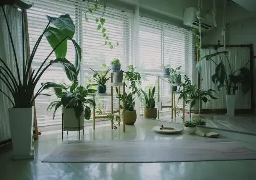 LAUGH-YOGA-SALON（ラフヨガサロン）のインテリア