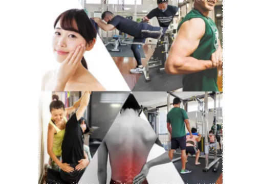 多角的サポート