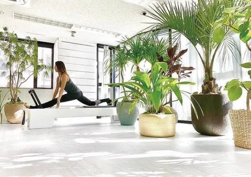 STUDIO TOU（スタジオトゥーユー） & gN. 