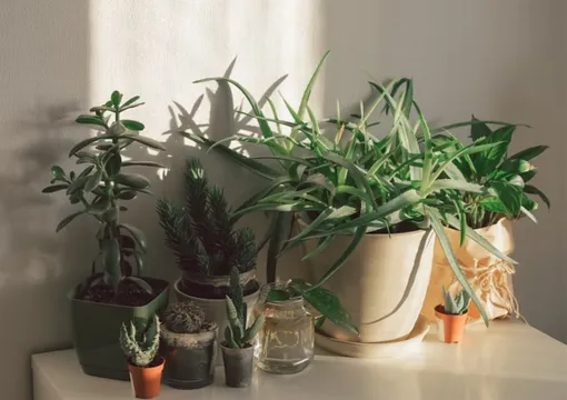 PEACHPILATES（ピーチピラティス）店内の雰囲気